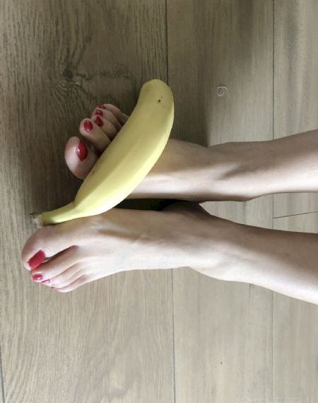 爱情公寓5