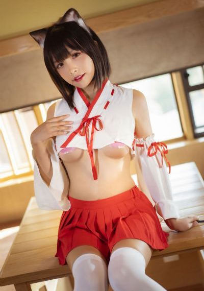 藏草青青