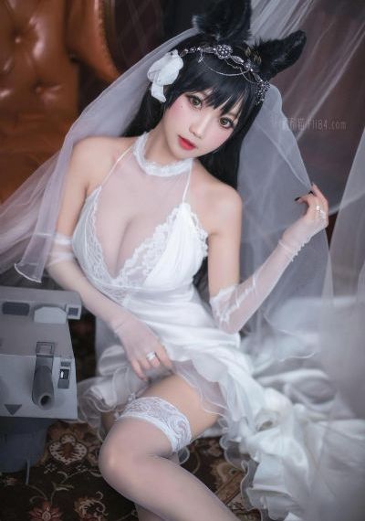 云之羽电视剧免费播放