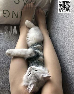 女人与拘做受一级视频