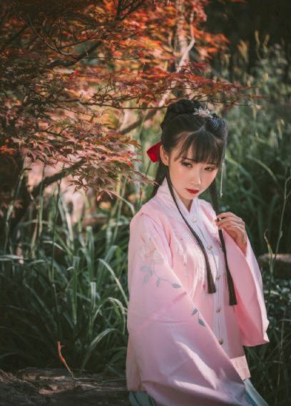 野花高清