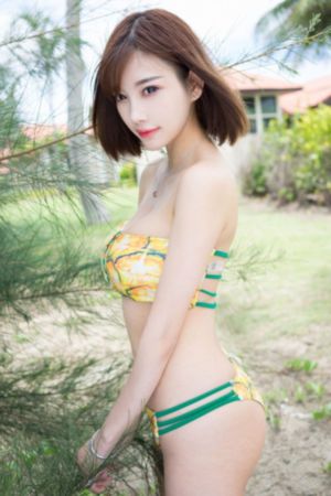 繁花电视剧在线观看免费高清全集