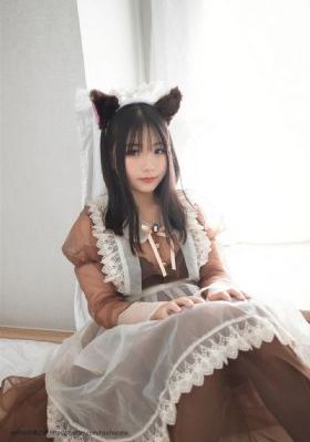 文豪野犬dead apple